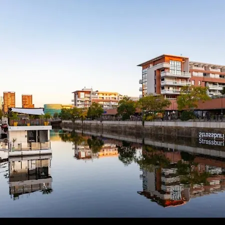 Appartement Standing F2 Rivetoile Centre Parking Gratuit Terrasse Strasbourg